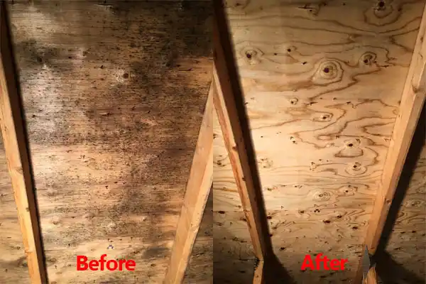 water damage restoration service El Rito